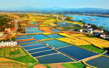 泸溪县浦市镇五果溜村