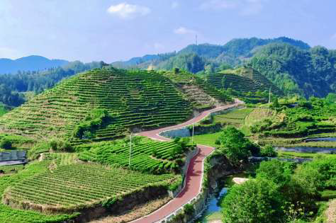 保靖县吕洞山镇黄金村