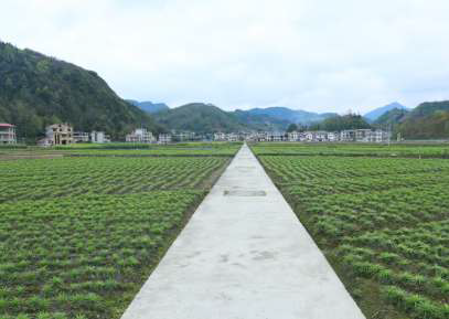 龙山县石牌镇石牌社区